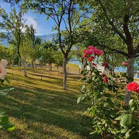 Holiday home Bosnian Hobbiton *