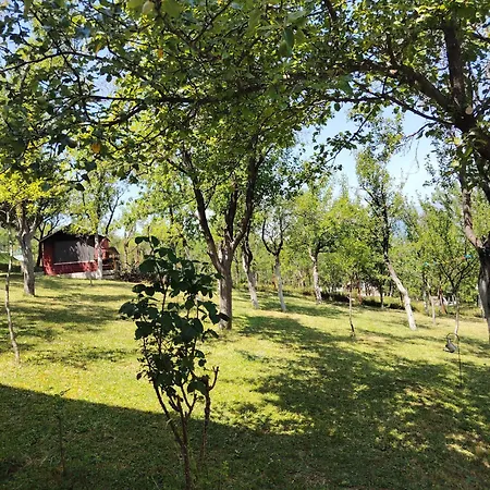 Holiday home Ramea